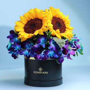 A Medley Of Sunlit N Midnight Blooms