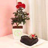 Red Rose Love Plant with Truffle Cake