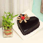 2 Layer Bamboo with Heart Shaped Chocolate Cake Combo