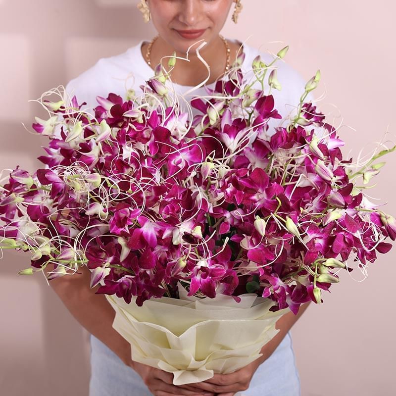 A Song Of Wild Violet Elegance
