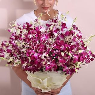 A Song Of Wild Violet Elegance