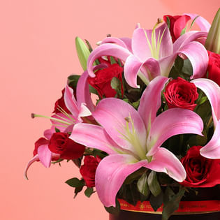 A Symphony Of Affection In Blooms