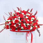 A Symphony Of Scarlet Roses N Snow