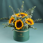 A Touch Of Sunflower Sunshine In A Box