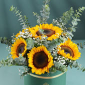 A Touch Of Sunflower Sunshine In A Box