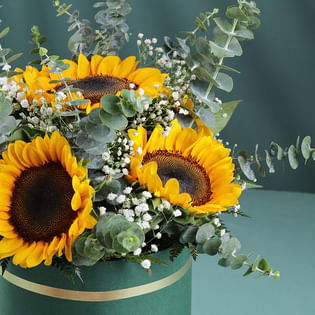 A Touch Of Sunflower Sunshine In A Box