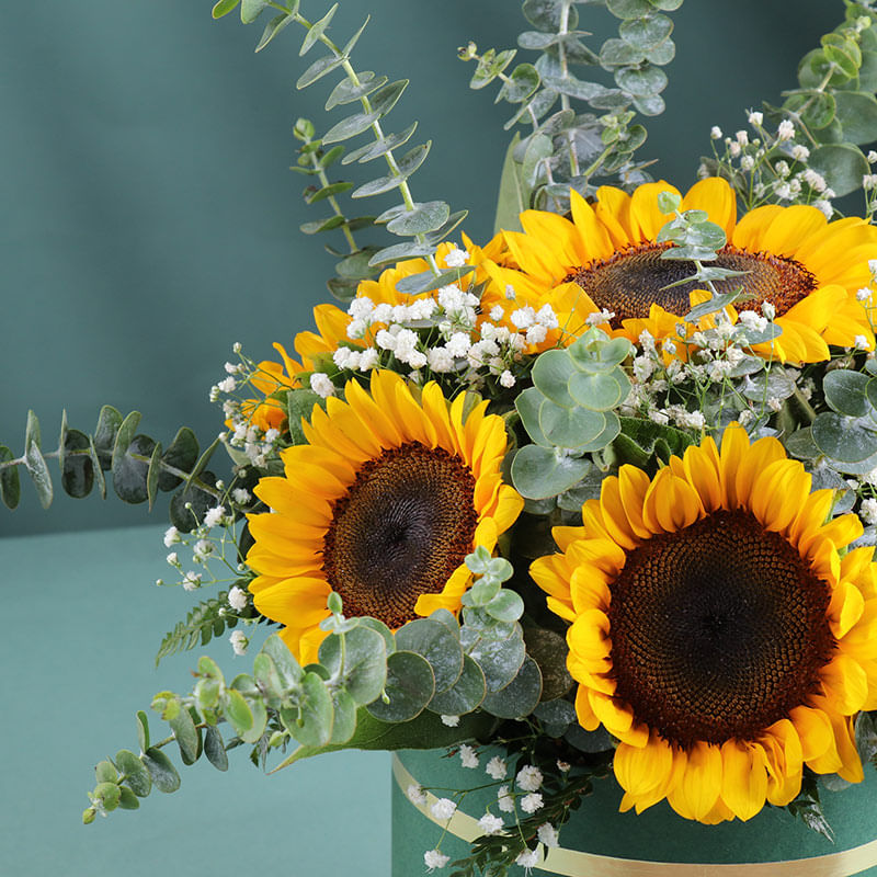 A Touch Of Sunflower Sunshine In A Box