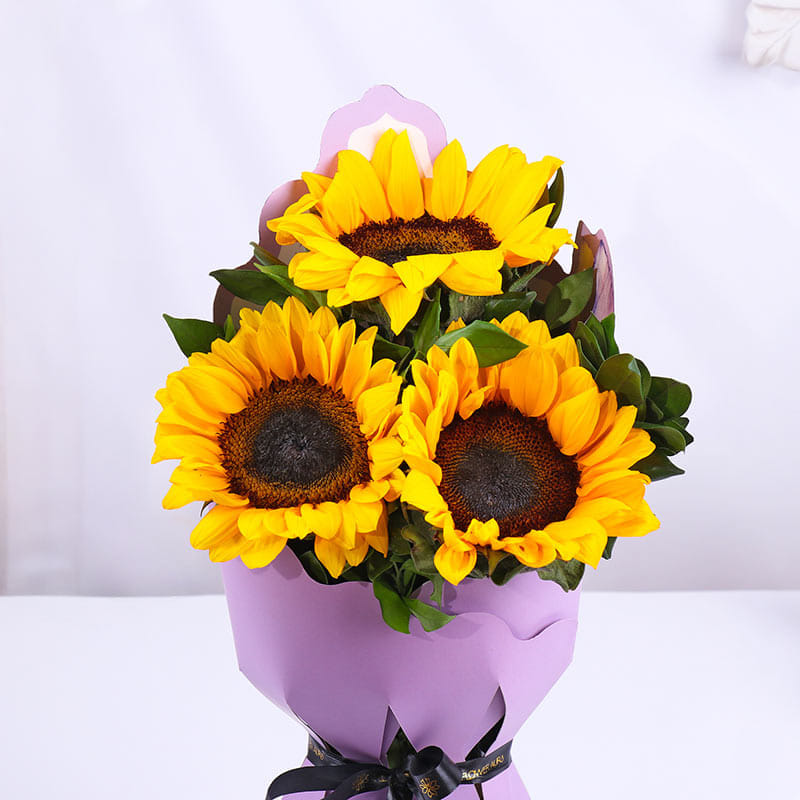 Product Image Video