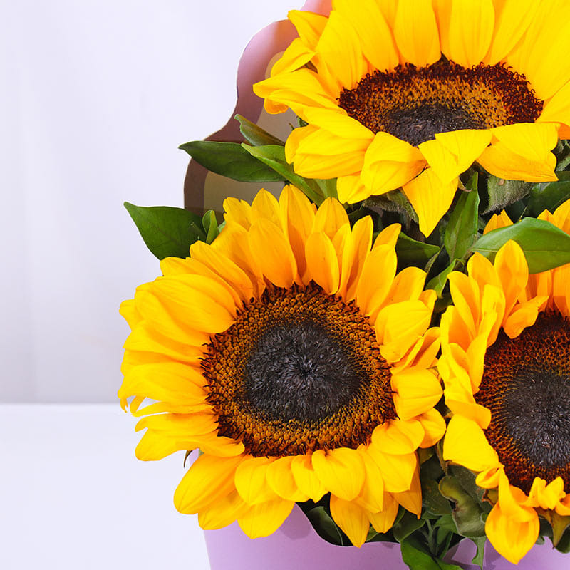 Product Image Video