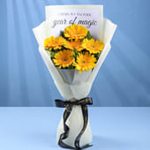 A Year of Golden Magic