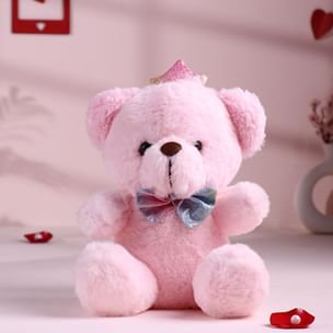 Adorable Pink Blushing Teddy