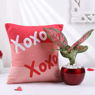 Aglonema Plant In Metal Pot With Xoxo Cushion