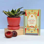 Air Purifying Plant With Rakhi Combo