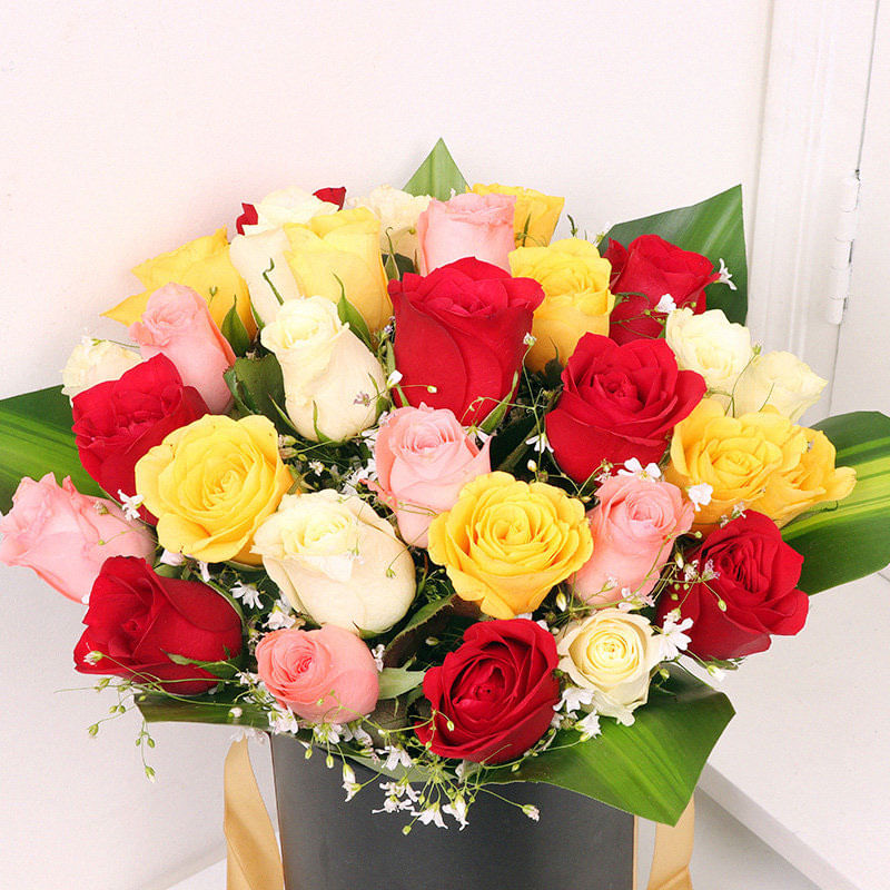 Product Image Video