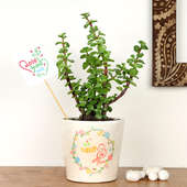 Jade Plant in Personalised Vase for Mom