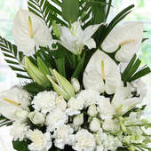 Mixed White Flowers in Zoomed View