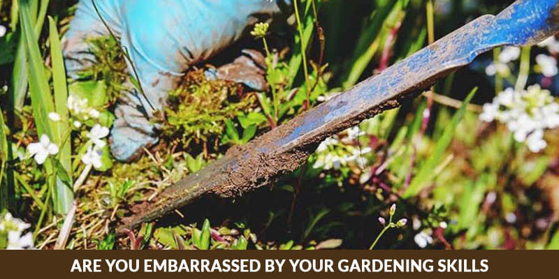 Are You Embarrassed By Your Gardening Skills? Here's What To Do