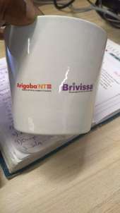 Arigaba And Brivissa Branding Pot With Peace Lily Plant