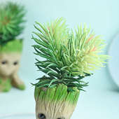 Order Artificial Asparagus In Groot Pots