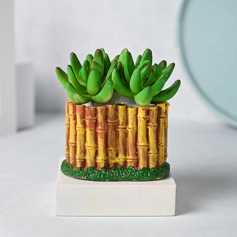 Order Artificial Crassula In Decorative Pot Online