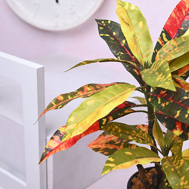 Order Artificial Croton Plant in Black Ceramic Pot Online