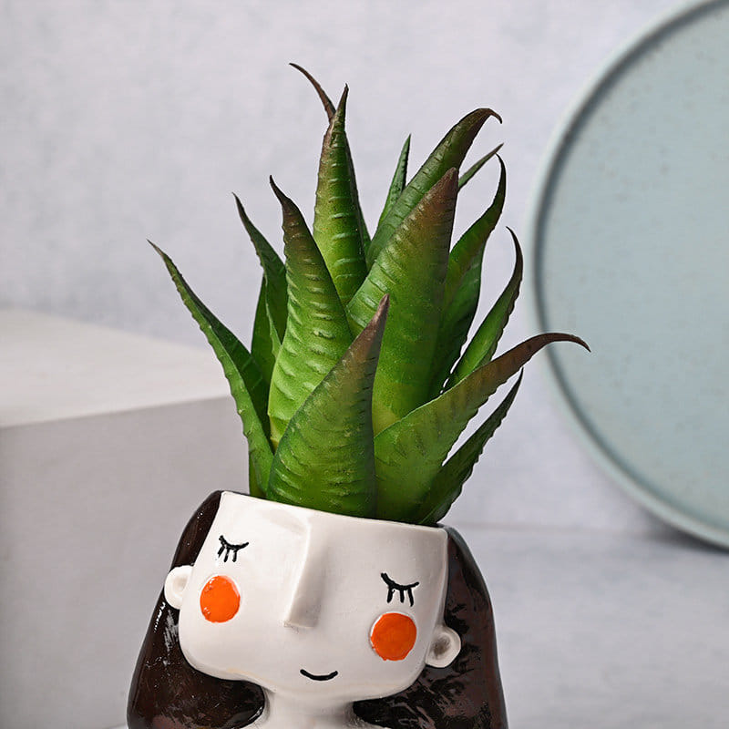 Send Artificial Haworthia Beauty in Girl Planter Online