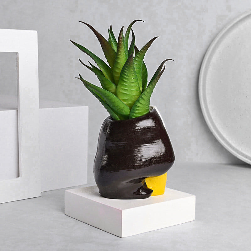 Artificial Haworthia Beauty in Girl Planter Online