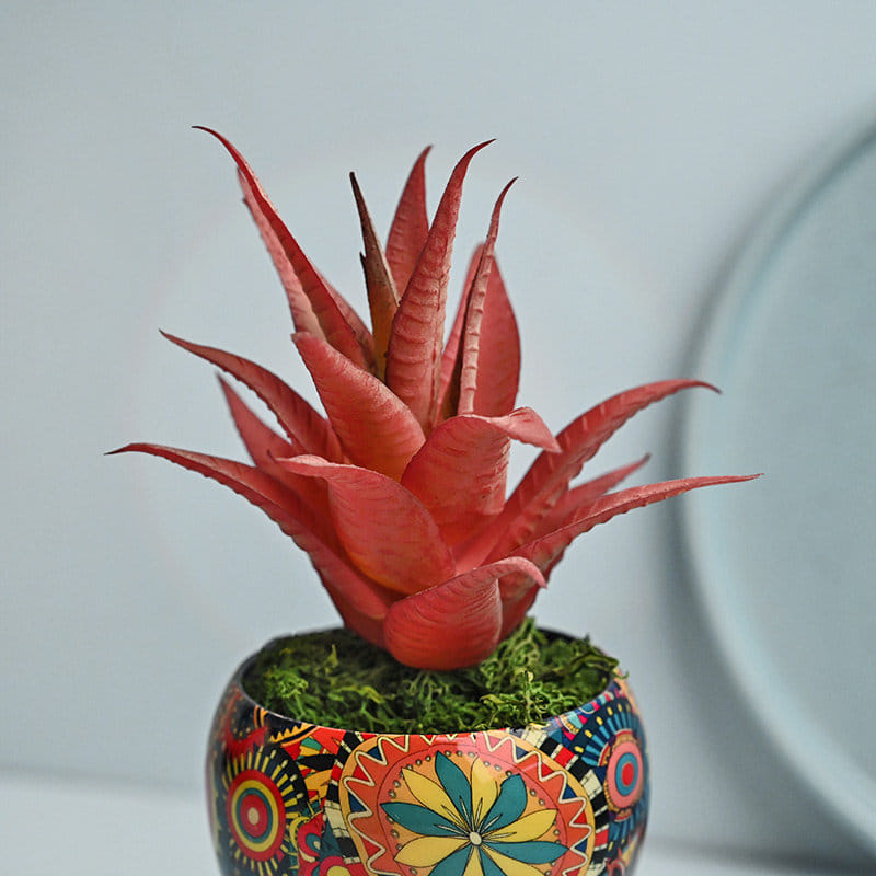 Send Artificial Howarthia in Vibrant Metallic Pot Online