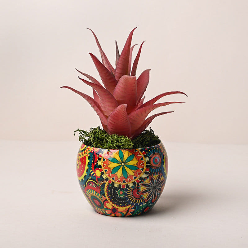 Artificial Howarthia in Vibrant Metallic Pot Online