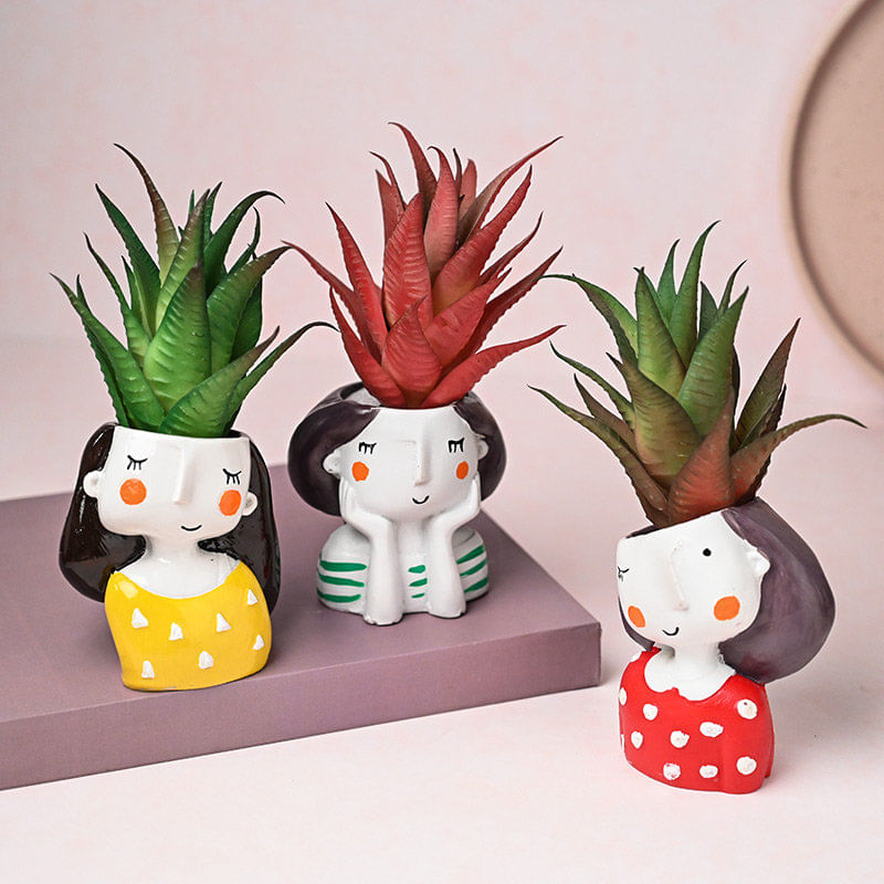 Artificial Howarthia Trio Online 