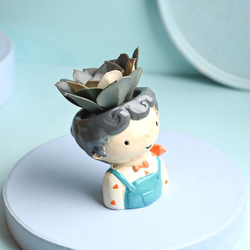 Buy Artificial Succulent In Boy Pot Online 