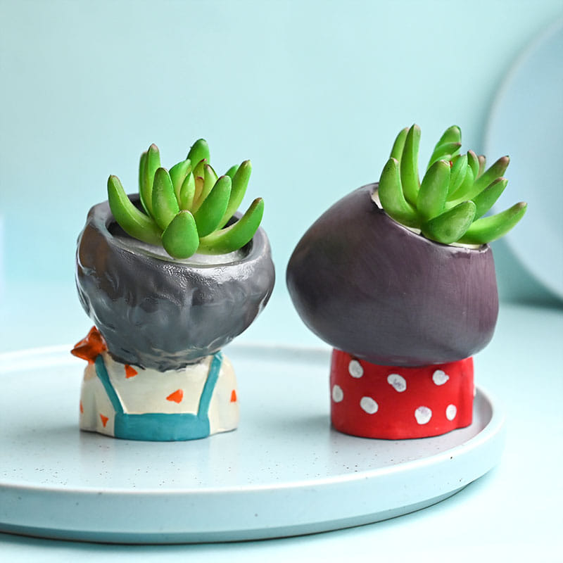 Send Artificial Succulents In Boy Girl Pot