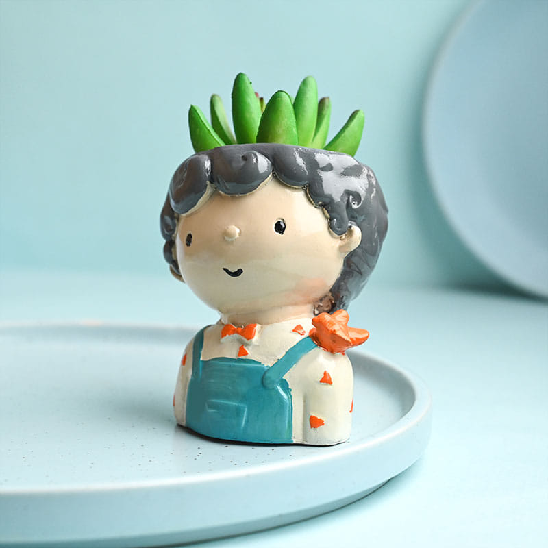 Order Artificial Succulents In Boy Girl Pot