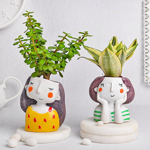 Artistic Pots And Plants Combo