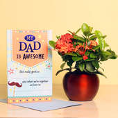 Ixora Plant and Card Combo for Dad
