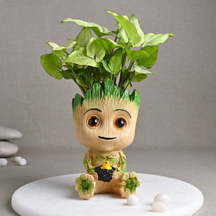 Baby Groot Syngonium Plant for Dad