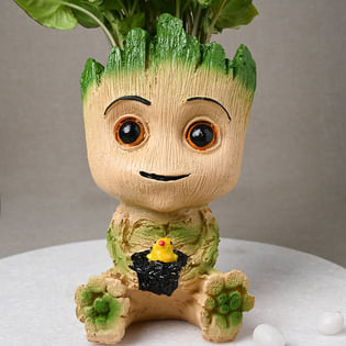Baby Groot Syngonium Plant - Lower View