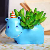 Baby Hippo Raisin Pot With Plant