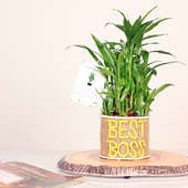 Bamboo Boss Two layer Plant