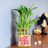 Bamboo Got Lucky - Good Luck Plant Indoors in Swastik Printed Square Jute Glass Vase