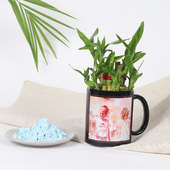 Holi Special Gift - Bamboo Plant With Mug Vase and Color