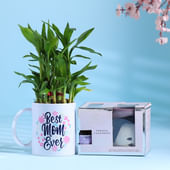 Bamboo In Best Mom Mug With Lavender Oil