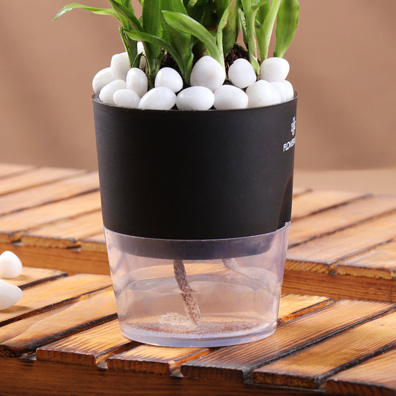 Product Image Video