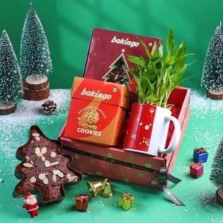 Bamboo In Xmas Mug N Treats