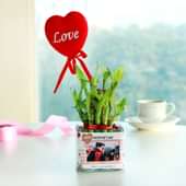 Bamboo Love Tag Plant