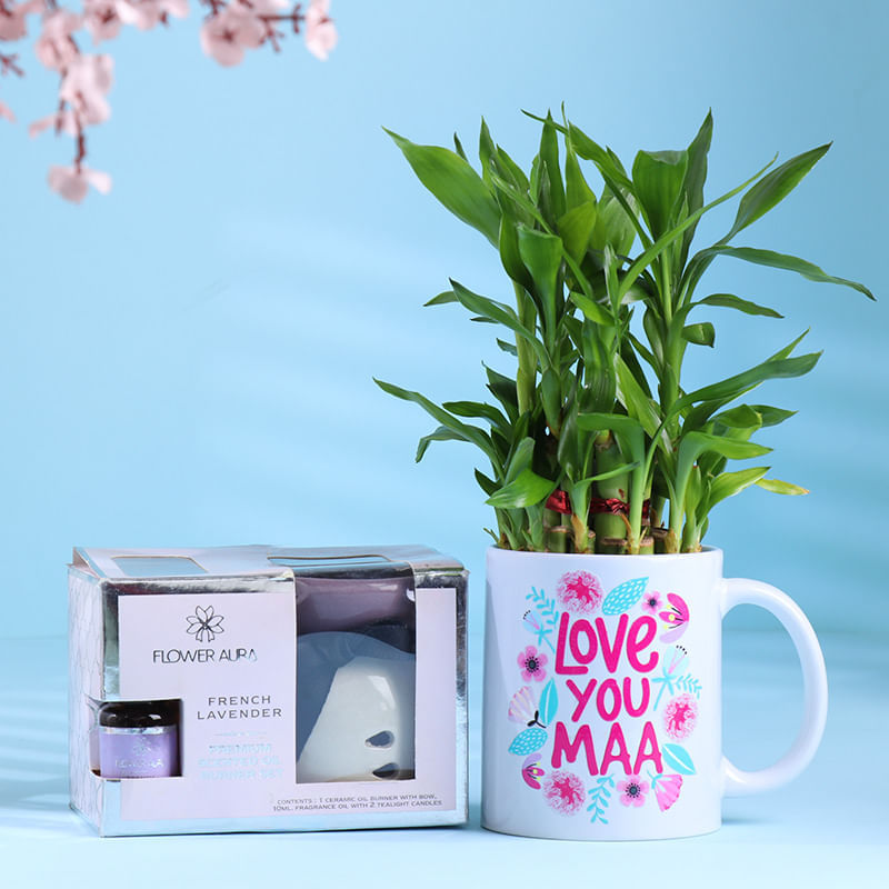 Bamboo Love You Maa Plant With Lavender Scent Oil