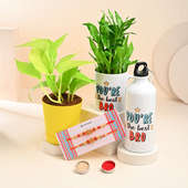 Bamboo Money Plant With Sipper And Two Rakhis