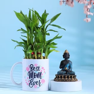 Bamboo Mug Plant N Buuddha Figurine For Mom