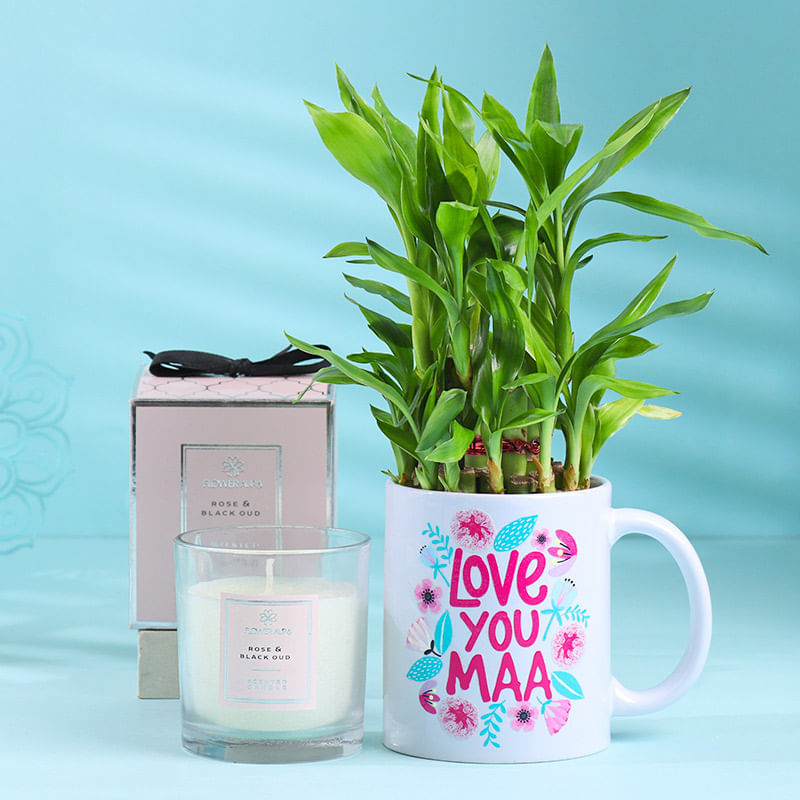 Bamboo Mug Plant N Candle for Mum