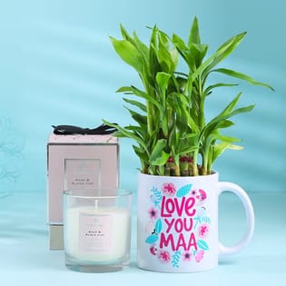Bamboo Mug Plant N Candle For Mum